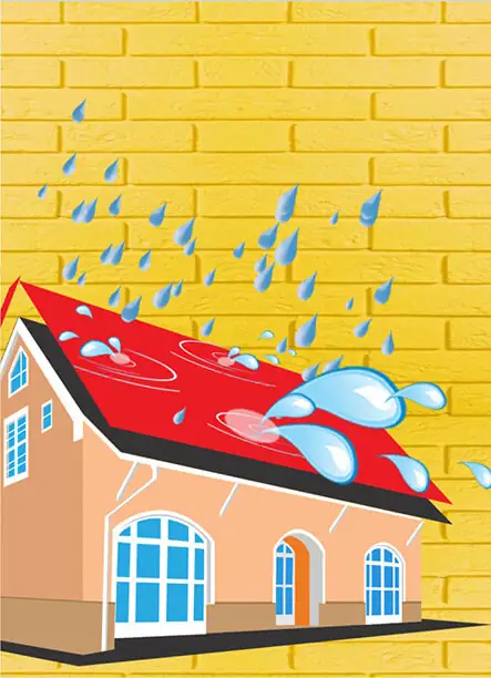 Línea Ultra Quality